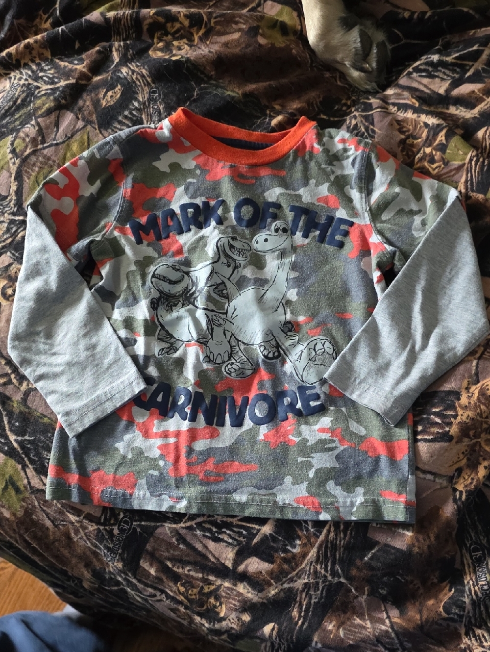 Disney Gray & Orange Camo Dino Long-Sleeve Tee
